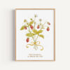 Fraises des bois poster